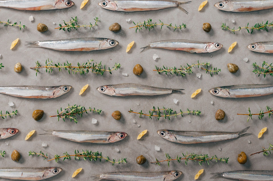 Barilla ~ Textured Recipes